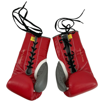 Delphi Gym Everlast Red/Gray PowerLock Boxing Gloves Creed 3 (2023) Movie Prop Y'allywood Props
