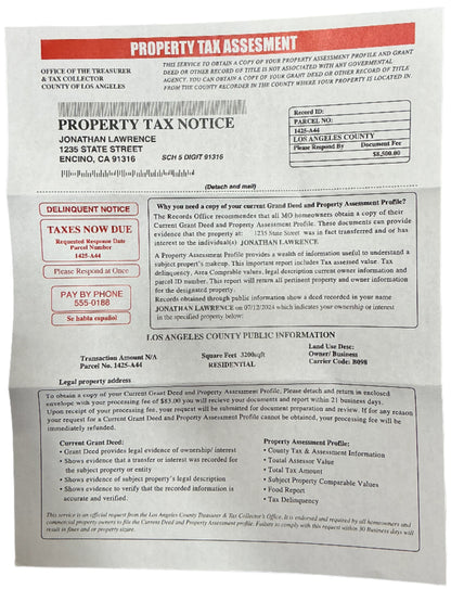 Johnny's Property Tax Notice S6E15 Cobra Kai Movie Prop Y'allywood Props