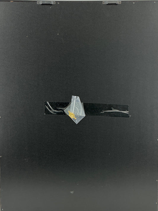 Signed Tony Gonzalez Kansas City Chiefs Jersey sports memorabilia Y'allywood Props