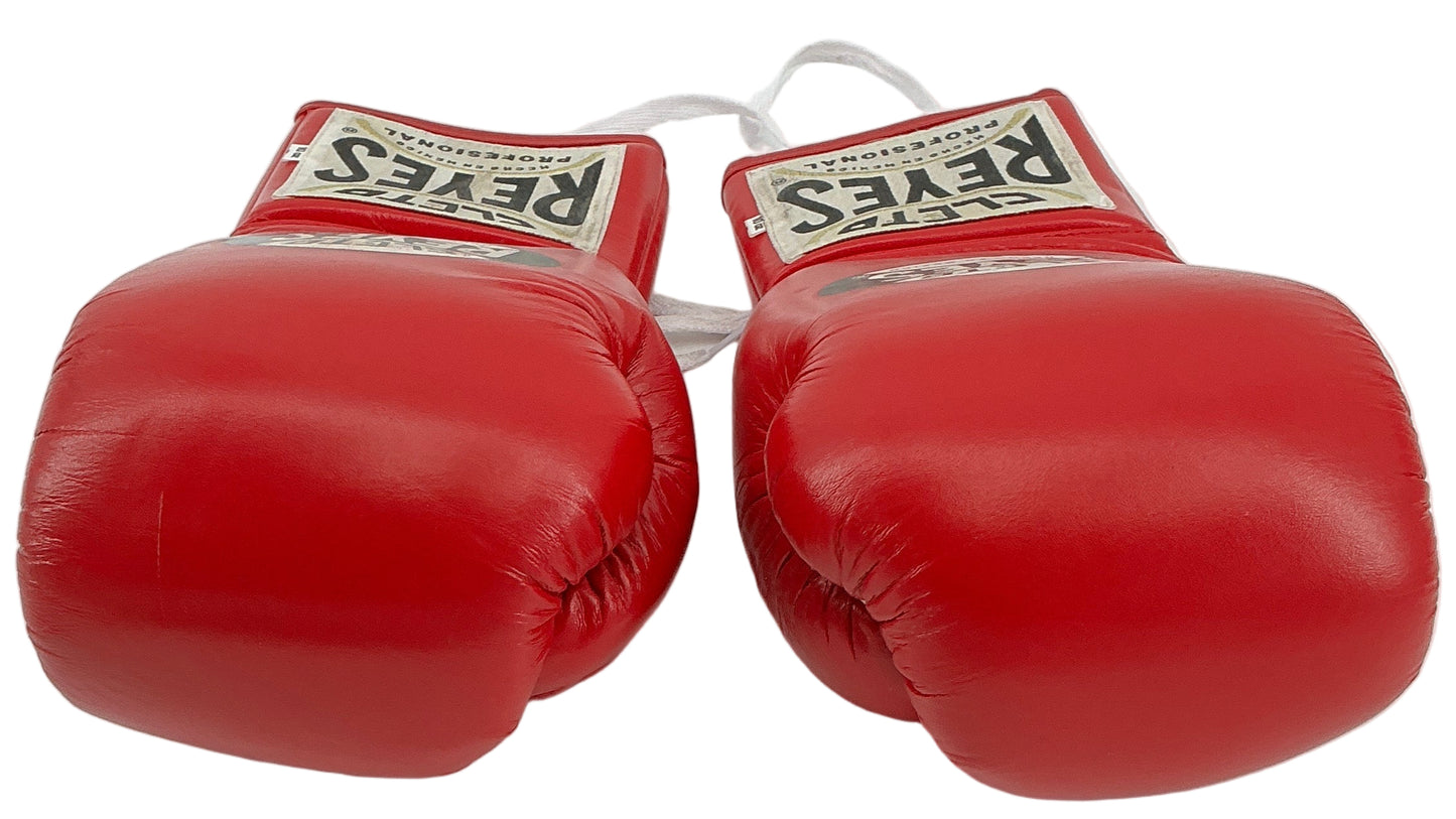 Delphi Gym Cleto Reyes Boxing Gloves Creed 3 (2023) Movie Prop Y'allywood Props