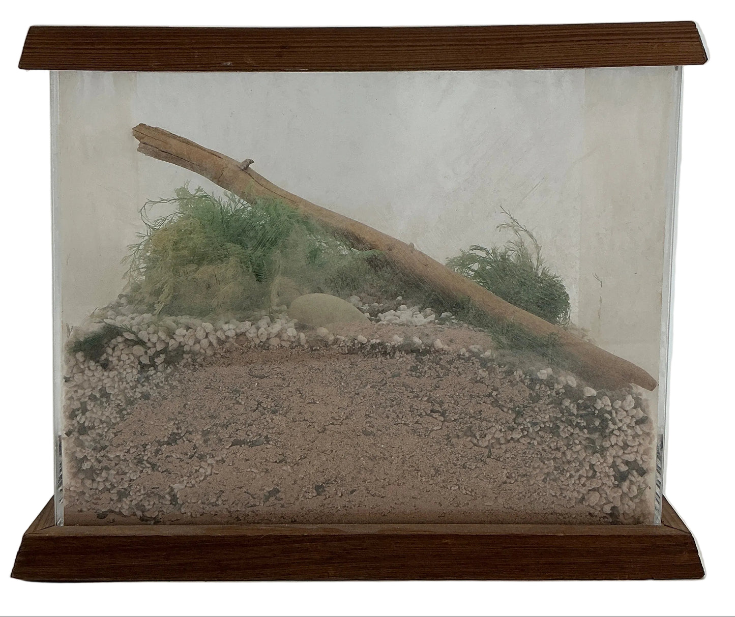 Will Byer's Terrarium from Stranger Things (2016-2025) Movie Prop Y'allywood Props