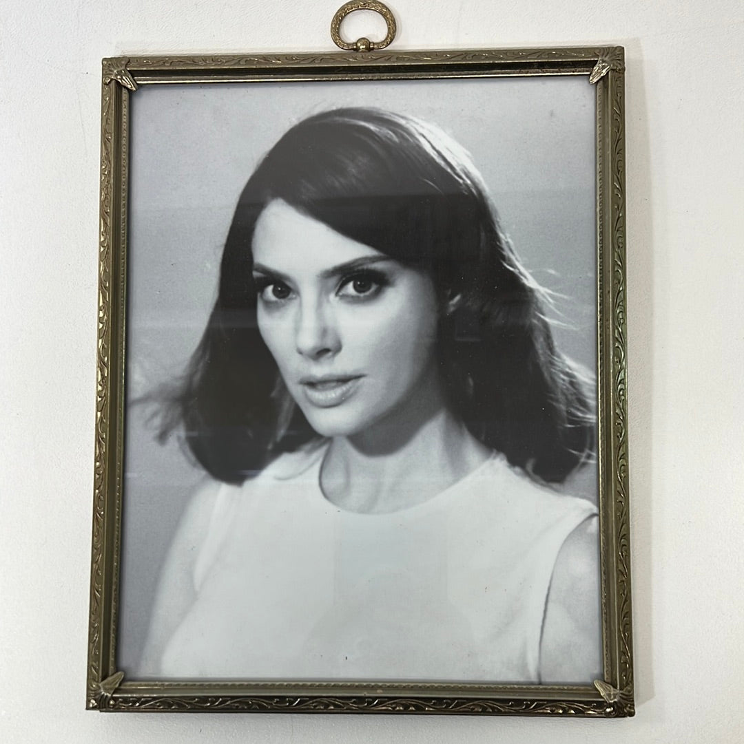 Rita Farr Framed Photo from her room Doom Patrol Movie Prop Atlanta Brick Co   