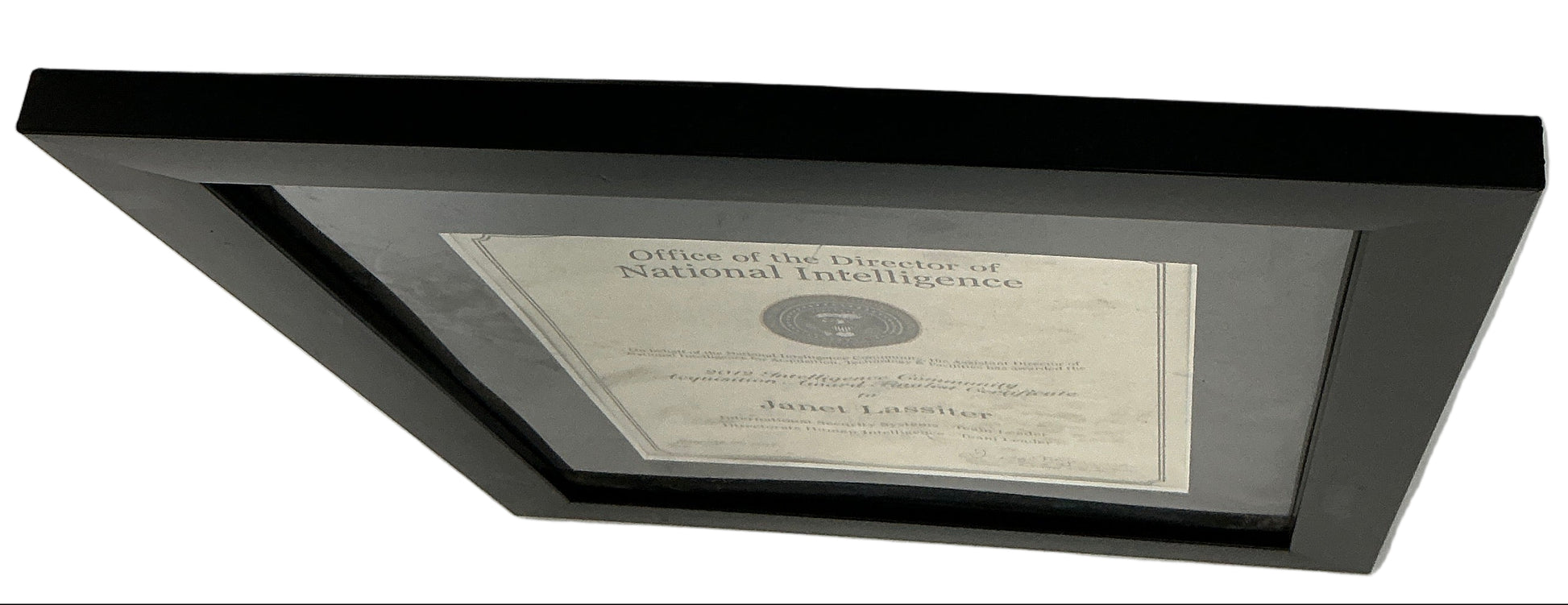 Janet Lassiter’s National Intelligence Award Gemini Man (2019) Movie Prop Y'allywood Props