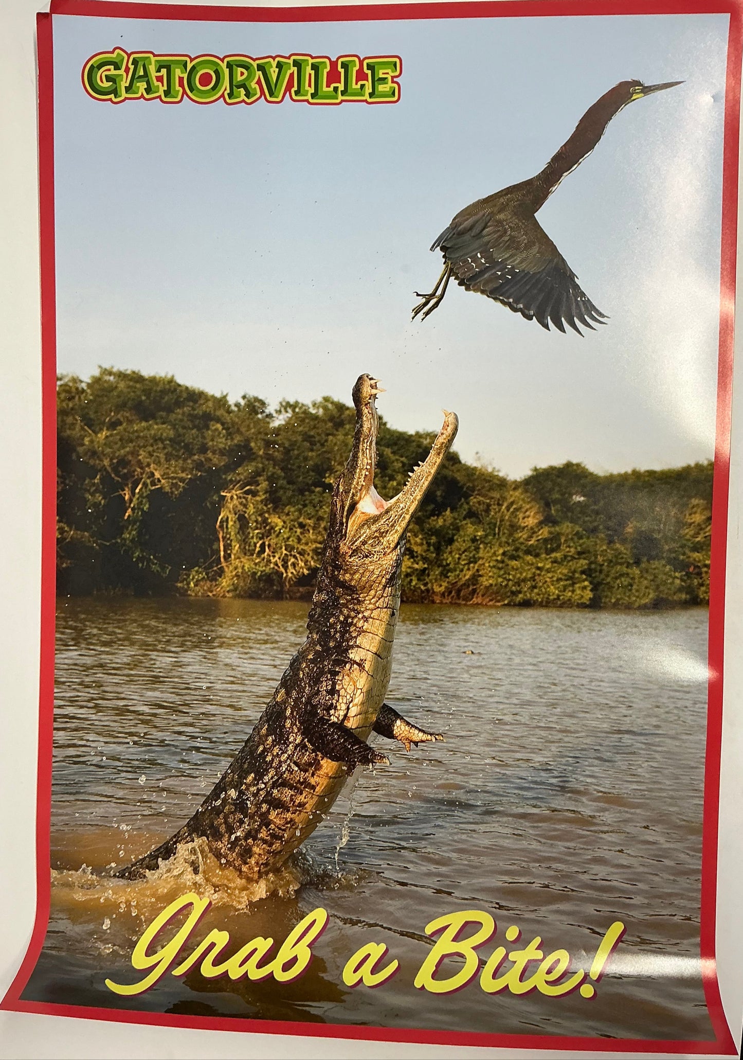 Gatorville Posters Bad Boys 4 Ride or Die (2024) Movie Prop Y'allywood Props Grab a Bite!