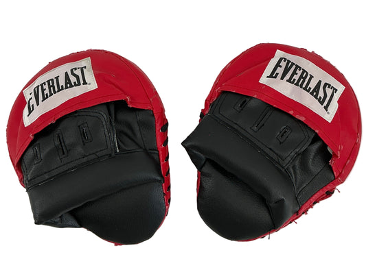 Delphi Gym Everlast Boxing Mitts/Pads Creed 3 (2023) Movie Prop Y'allywood Props