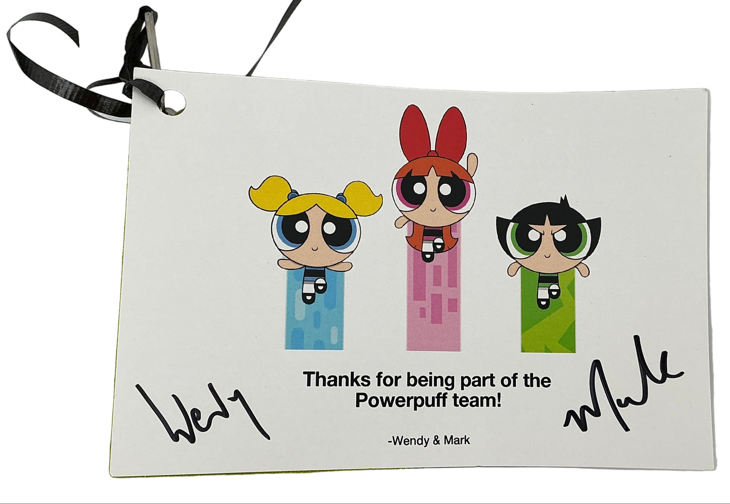 Cooler Bag Crew Gift The Powerpuff Girls Live Action Movie Movie Prop Y'allywood Props