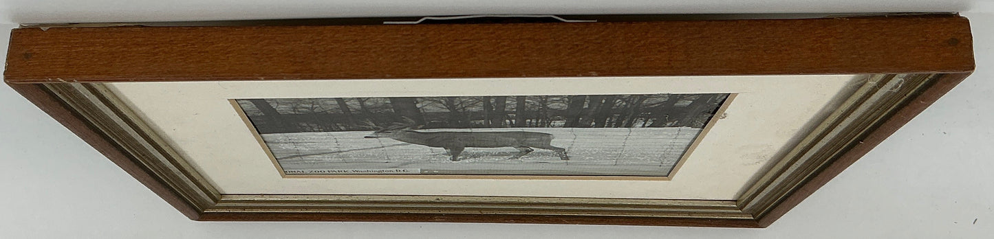 Hopper's Deer Picture from Cabin Stranger Things (2016-2025) Movie Prop Y'allywood Props