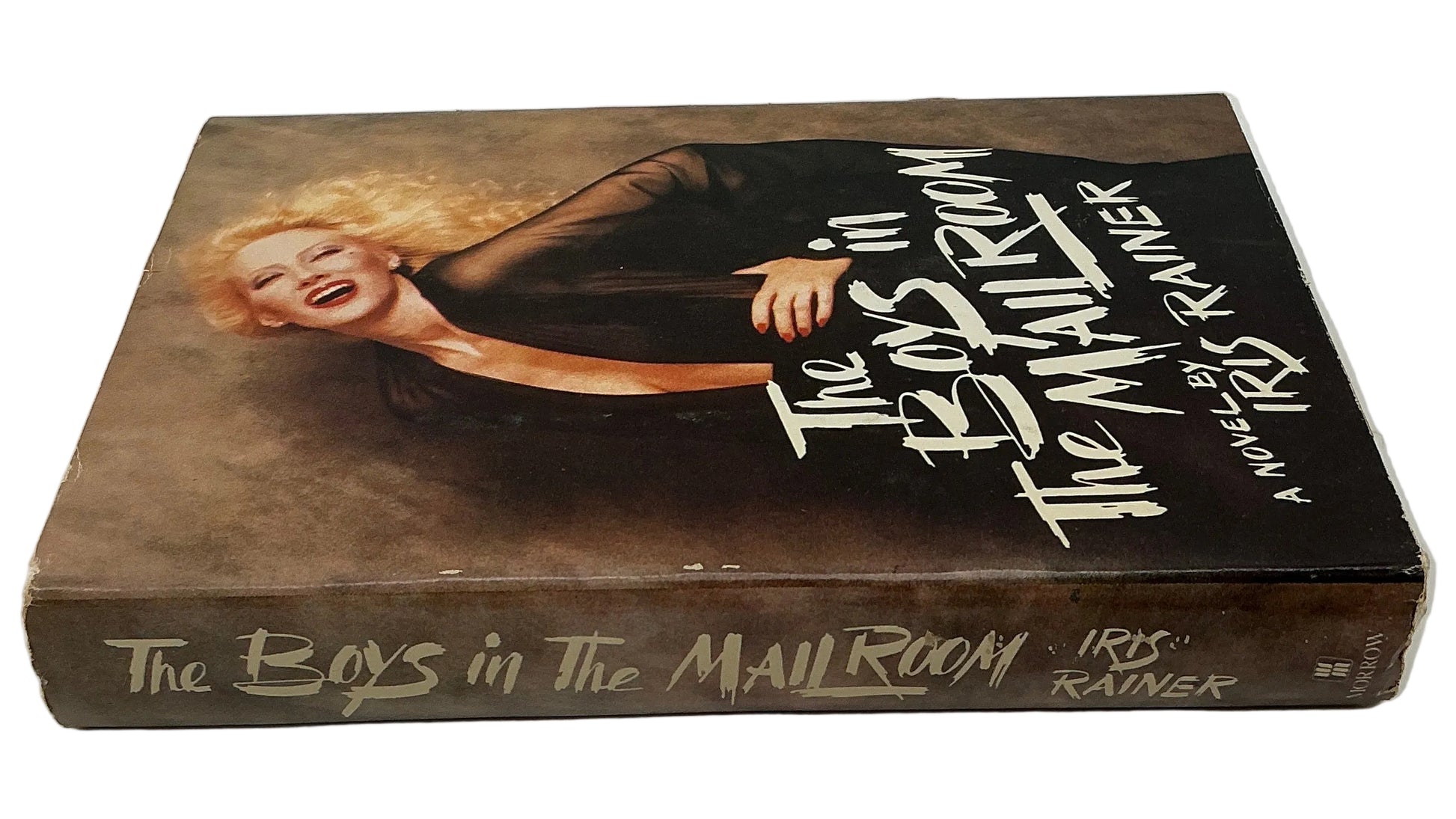 Books from Wheeler's Basement Stranger Things (2016-2025) Movie Prop Y'allywood Props The Boys in the Mail Room by Iris Rainer