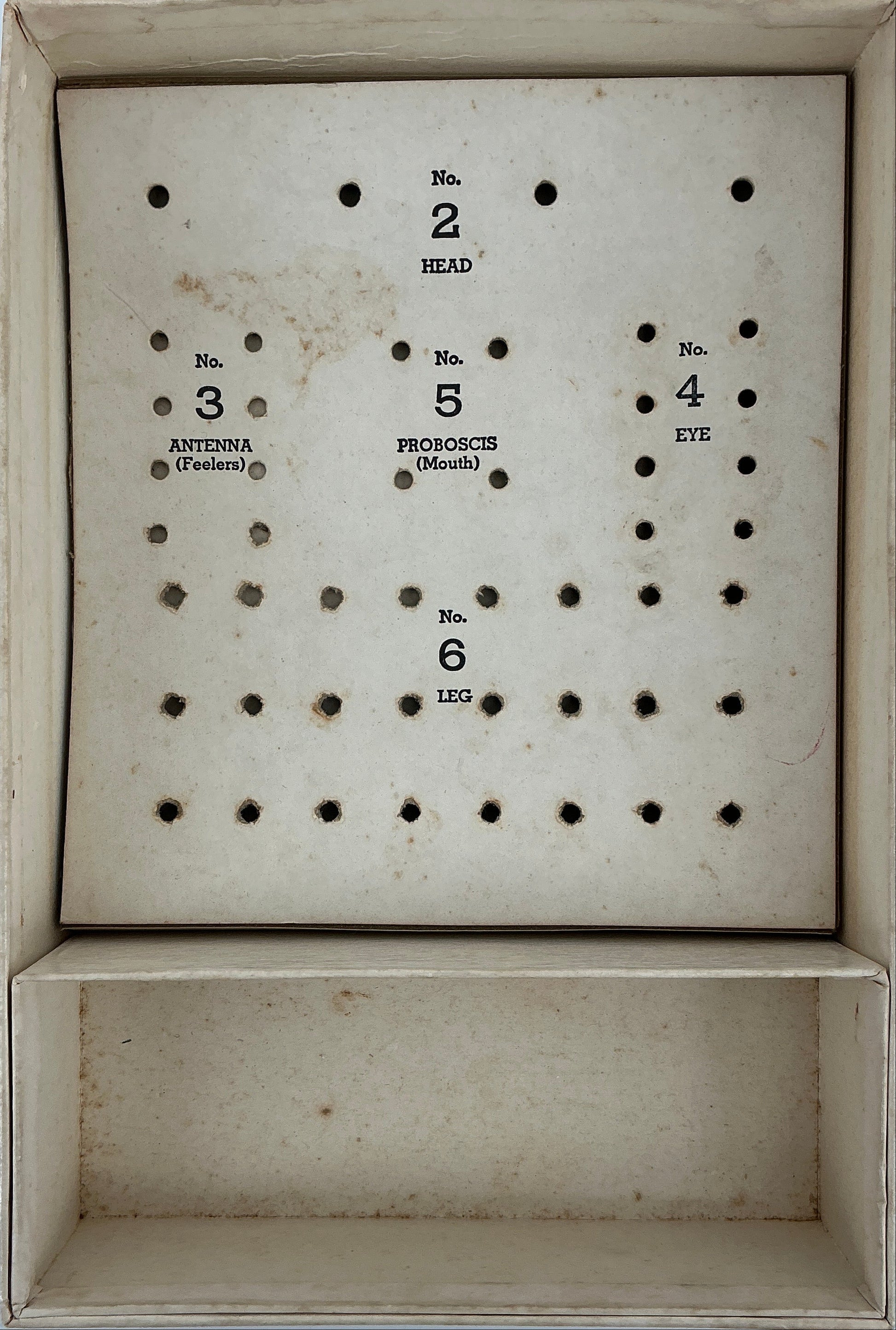 Cootie Game from Wheeler's Basement Stranger Things (2016-2025) Movie Prop Y'allywood Props