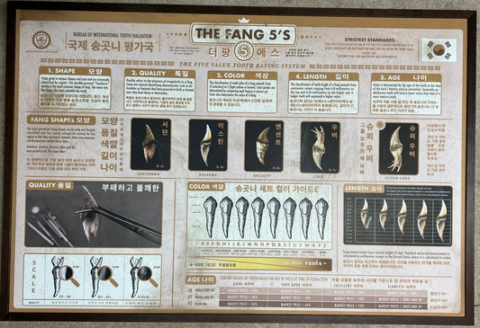 Vampire Fang Chart from Day Shift Movie Prop Y'allywood Props   