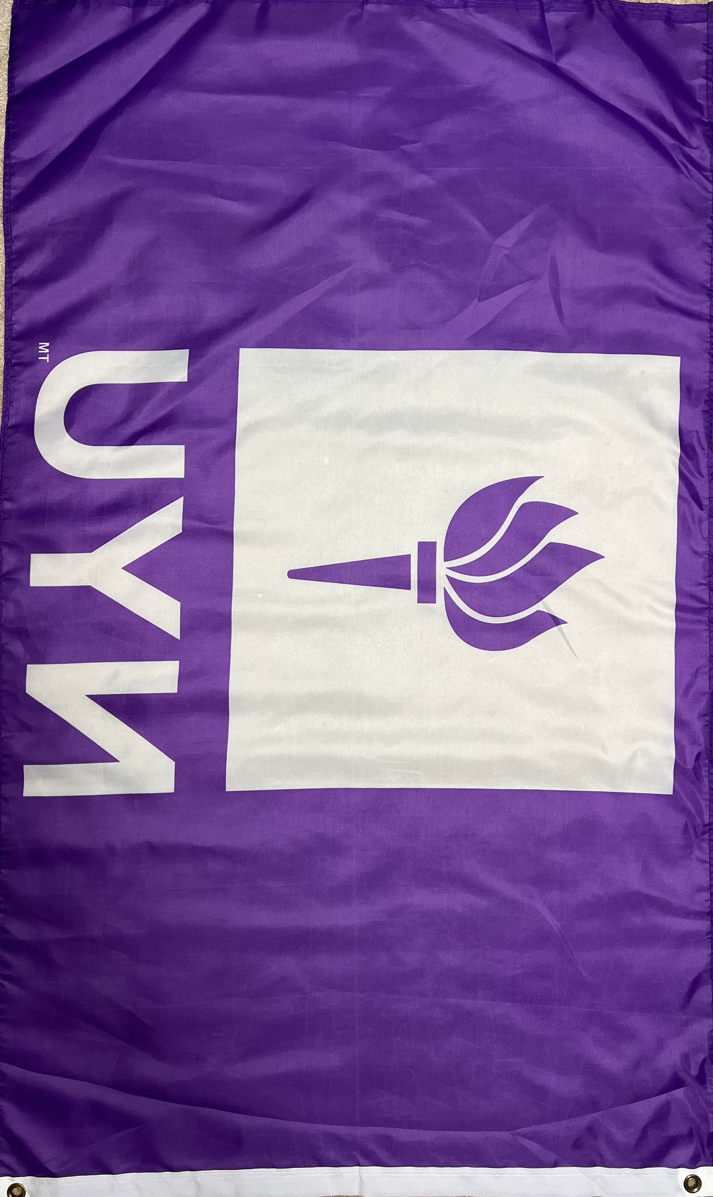 NYU Flag On-Screen Jumanji Next Level Movie Prop Atlanta Brick Co   