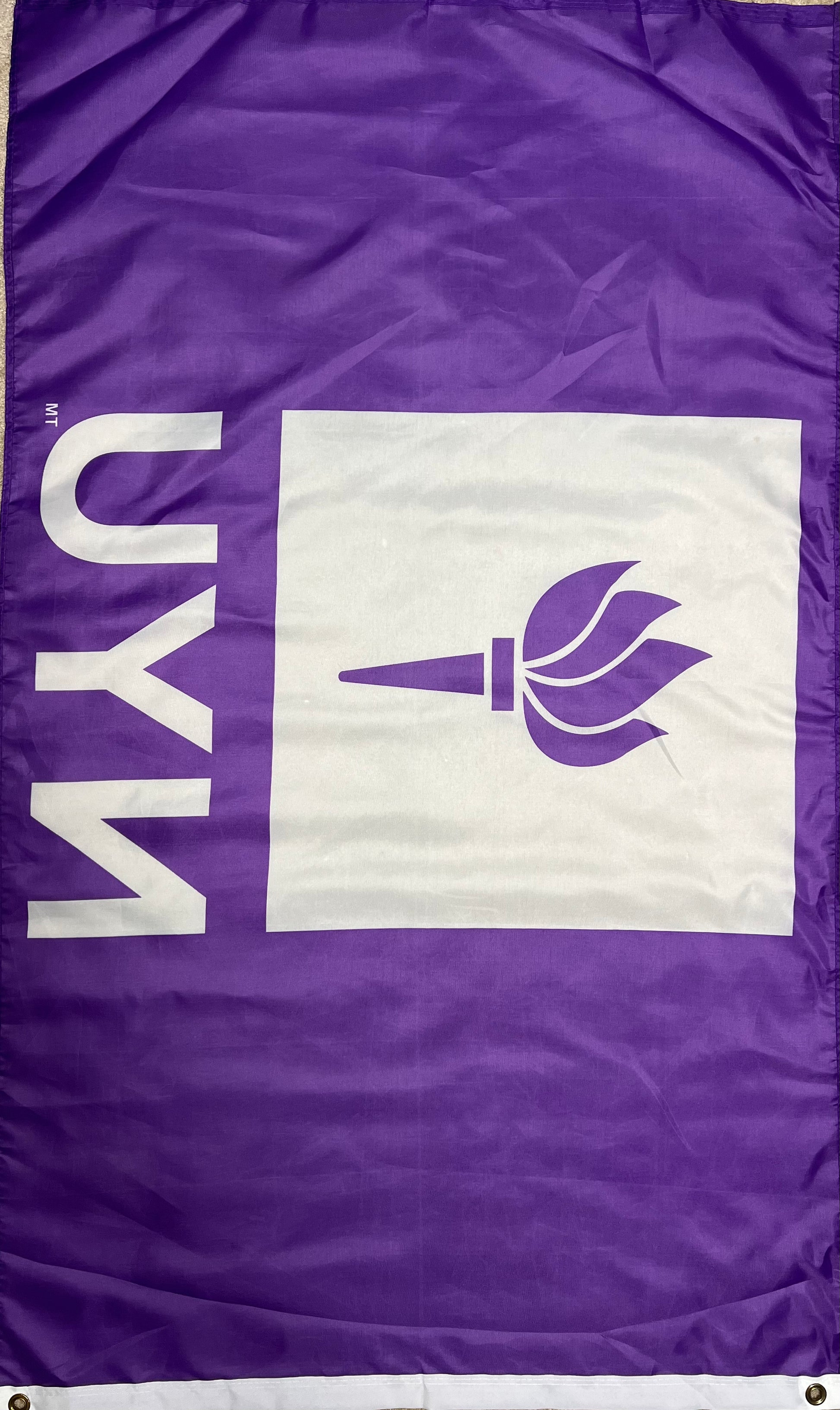 NYU Flag On-Screen Jumanji Next Level Movie Prop Atlanta Brick Co   