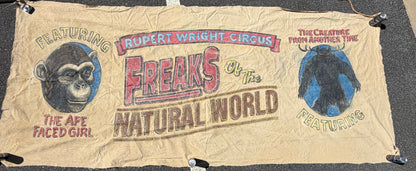 Ape Faced Girl & Wendigo Circus Banner S2E1 Doom Patrol (2019-2023)