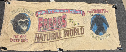 Ape Faced Girl & Wendigo Circus Banner S2E1 Doom Patrol (2019-2023)