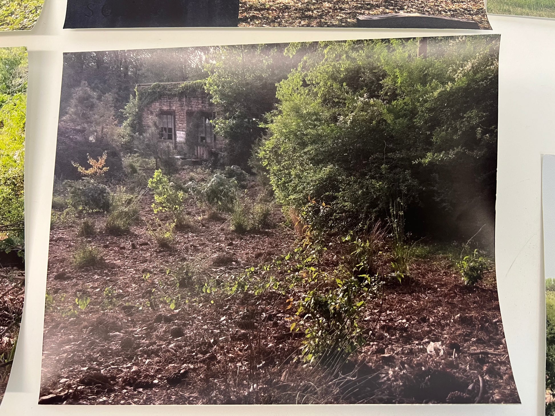 Graveyard Photos The Outsider S1E5 Movie Prop Atlanta Brick Co OH Picture w/ Building Further Back  