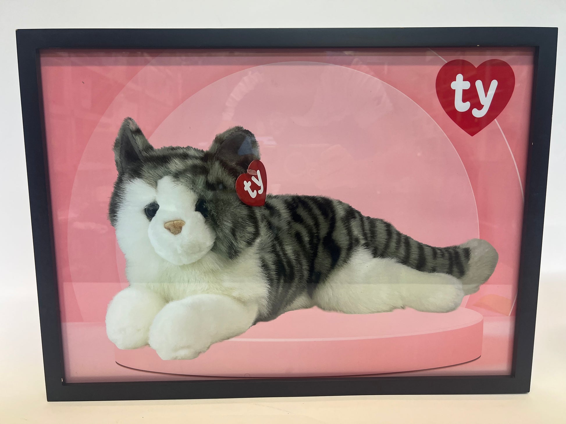 Beanie Baby Picture from 1993 TY HQ The Beanie Bubble Movie Prop Y'allywood Props   