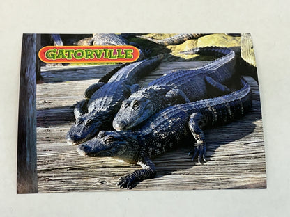 Gatorville Postcards Bad Boys 4 Ride or Die Movie Prop Y'allywood Props Gators on Dock  