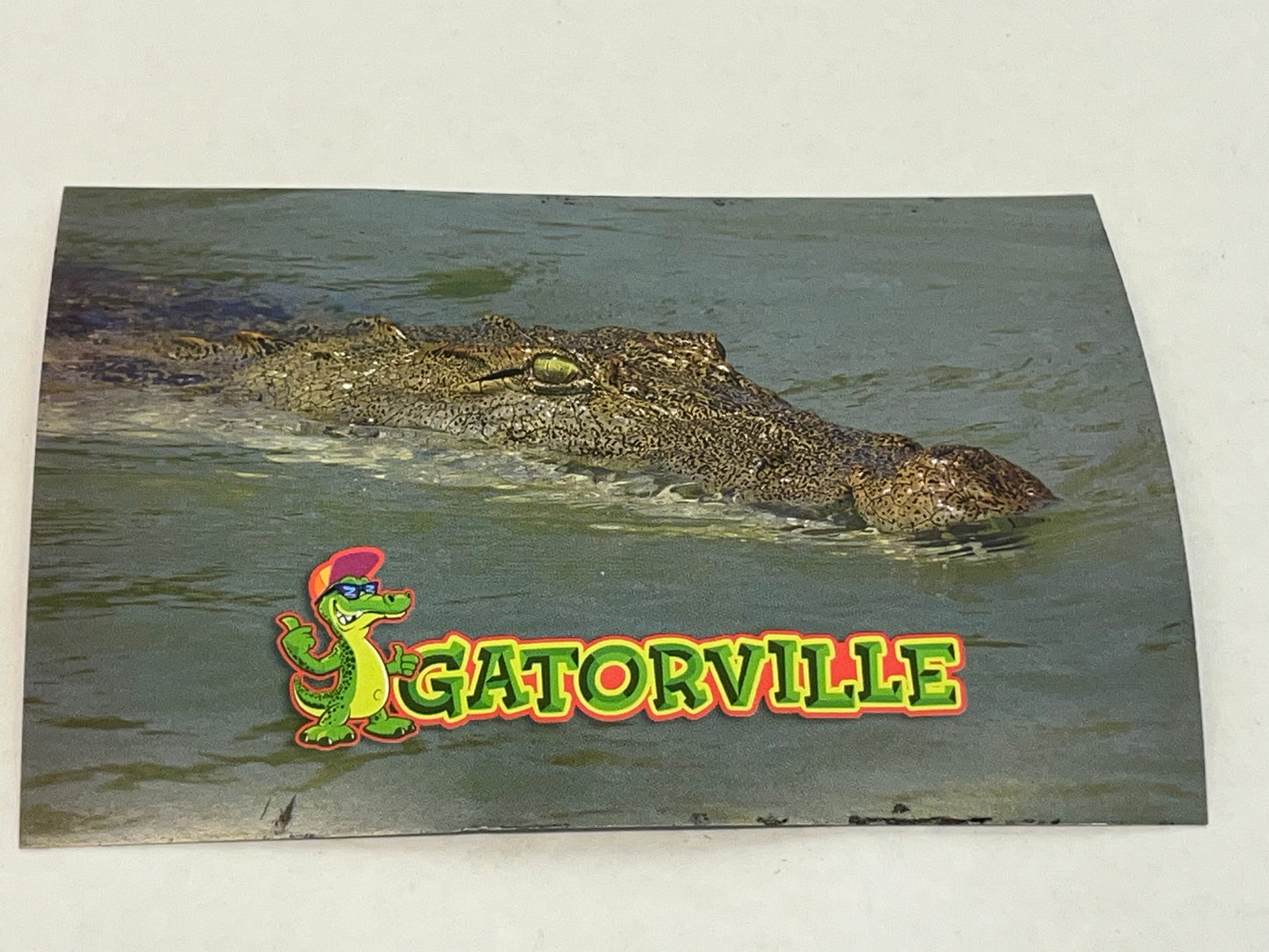 Gatorville Postcards Bad Boys 4 Ride or Die Movie Prop Y'allywood Props Gator Half Under Water  