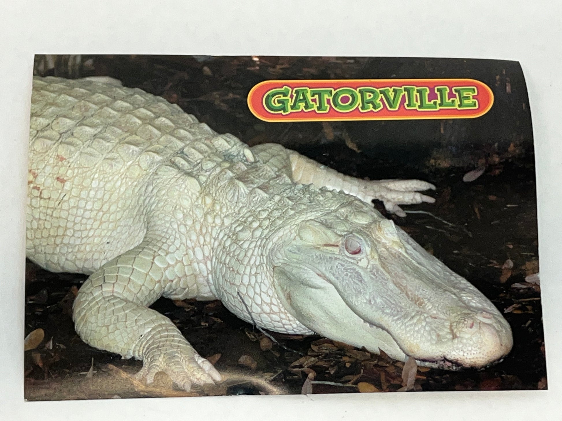 Gatorville Postcards Bad Boys 4 Ride or Die Movie Prop Y'allywood Props Duke  