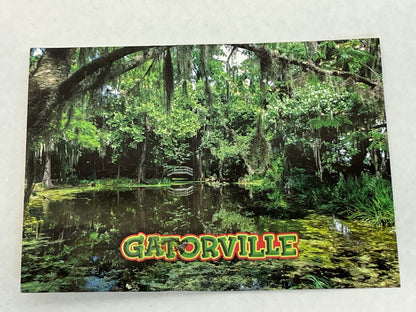 Gatorville Postcards Bad Boys 4 Ride or Die Movie Prop Y'allywood Props Swamp Bridge  