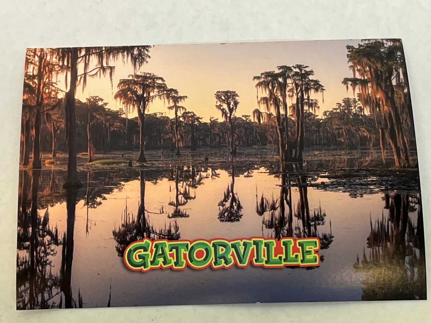 Gatorville Postcards Bad Boys 4 Ride or Die Movie Prop Y'allywood Props Swamp Reflection  