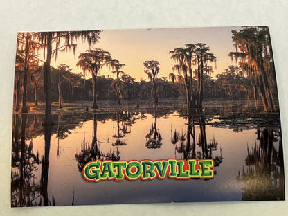 Gatorville Postcards Bad Boys 4 Ride or Die Movie Prop Y'allywood Props Swamp Reflection  