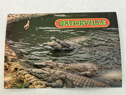 Gatorville Postcards Bad Boys 4 Ride or Die Movie Prop Y'allywood Props Feeding Time  