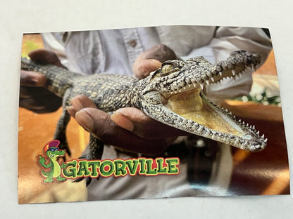 Gatorville Postcards Bad Boys 4 Ride or Die Movie Prop Y'allywood Props Handheld Gator  