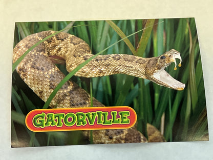 Gatorville Postcards Bad Boys 4 Ride or Die Movie Prop Y'allywood Props Snake Dripping Fangs  