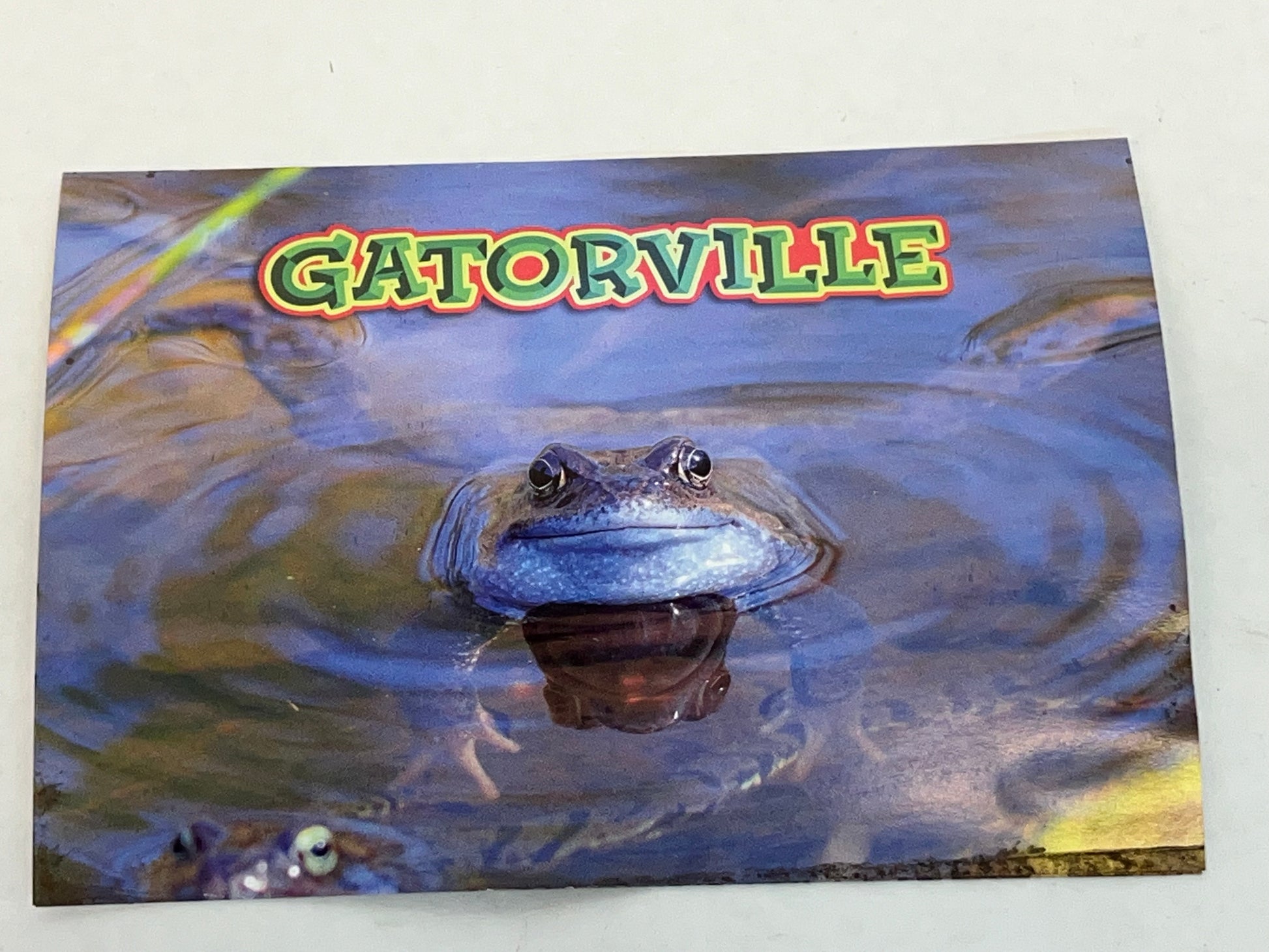 Gatorville Postcards Bad Boys 4 Ride or Die Movie Prop Y'allywood Props Toad  