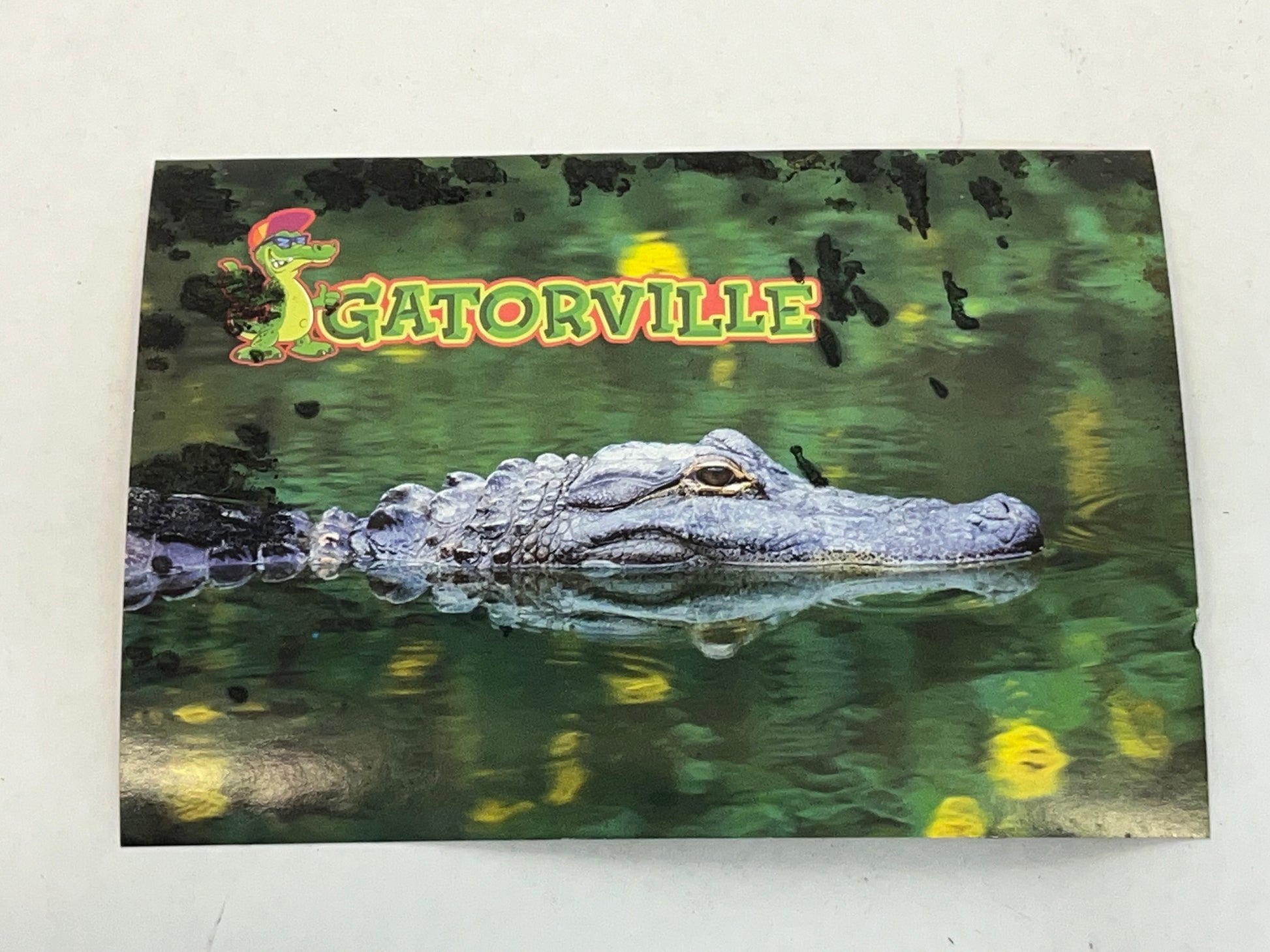 Gatorville Postcards Bad Boys 4 Ride or Die Movie Prop Y'allywood Props Gator Half Out of Water  