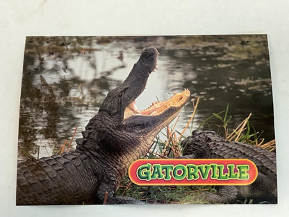 Gatorville Postcards Bad Boys 4 Ride or Die Movie Prop Y'allywood Props Two Gators  