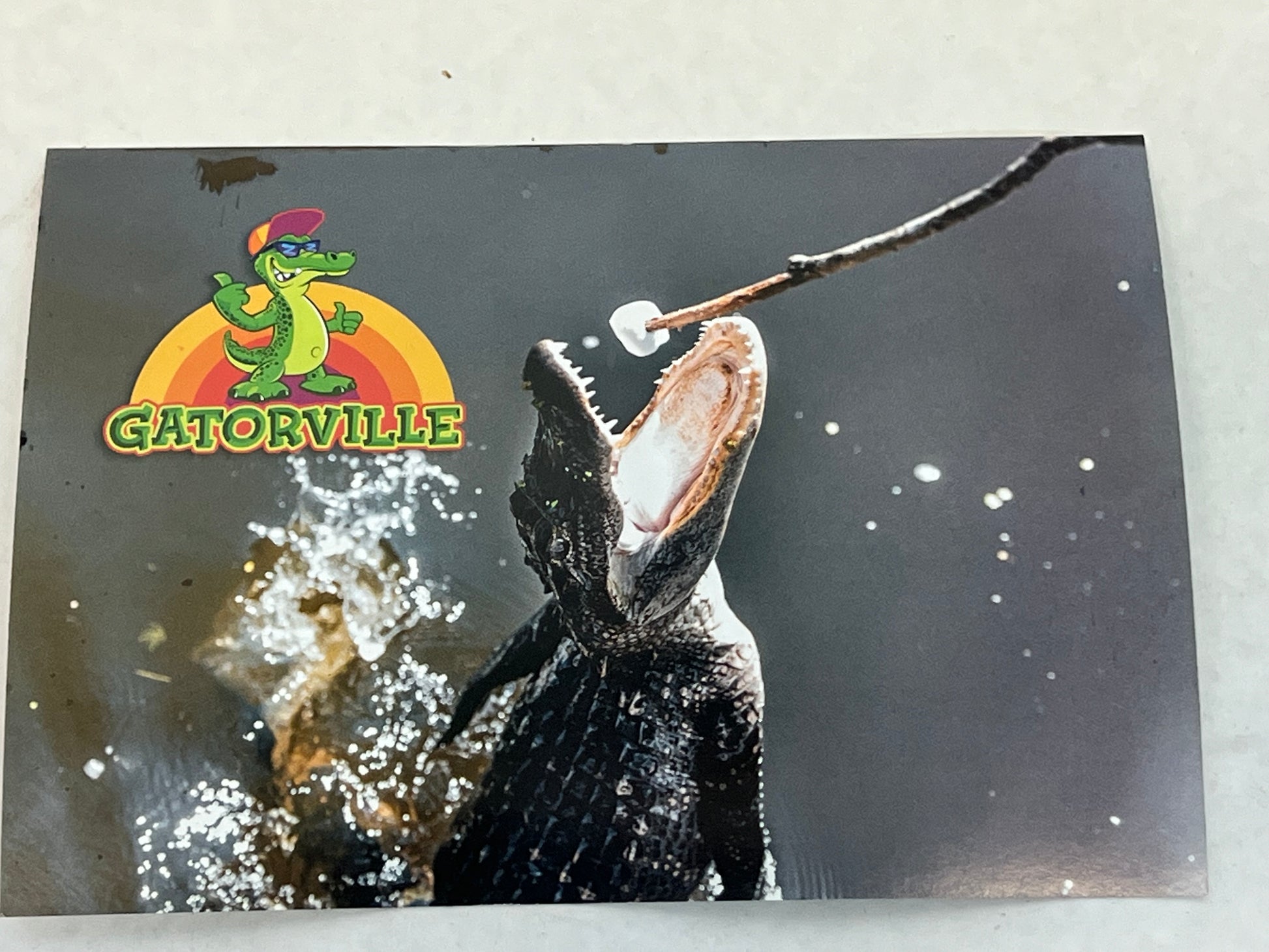 Gatorville Postcards Bad Boys 4 Ride or Die Movie Prop Y'allywood Props Marshmellow  