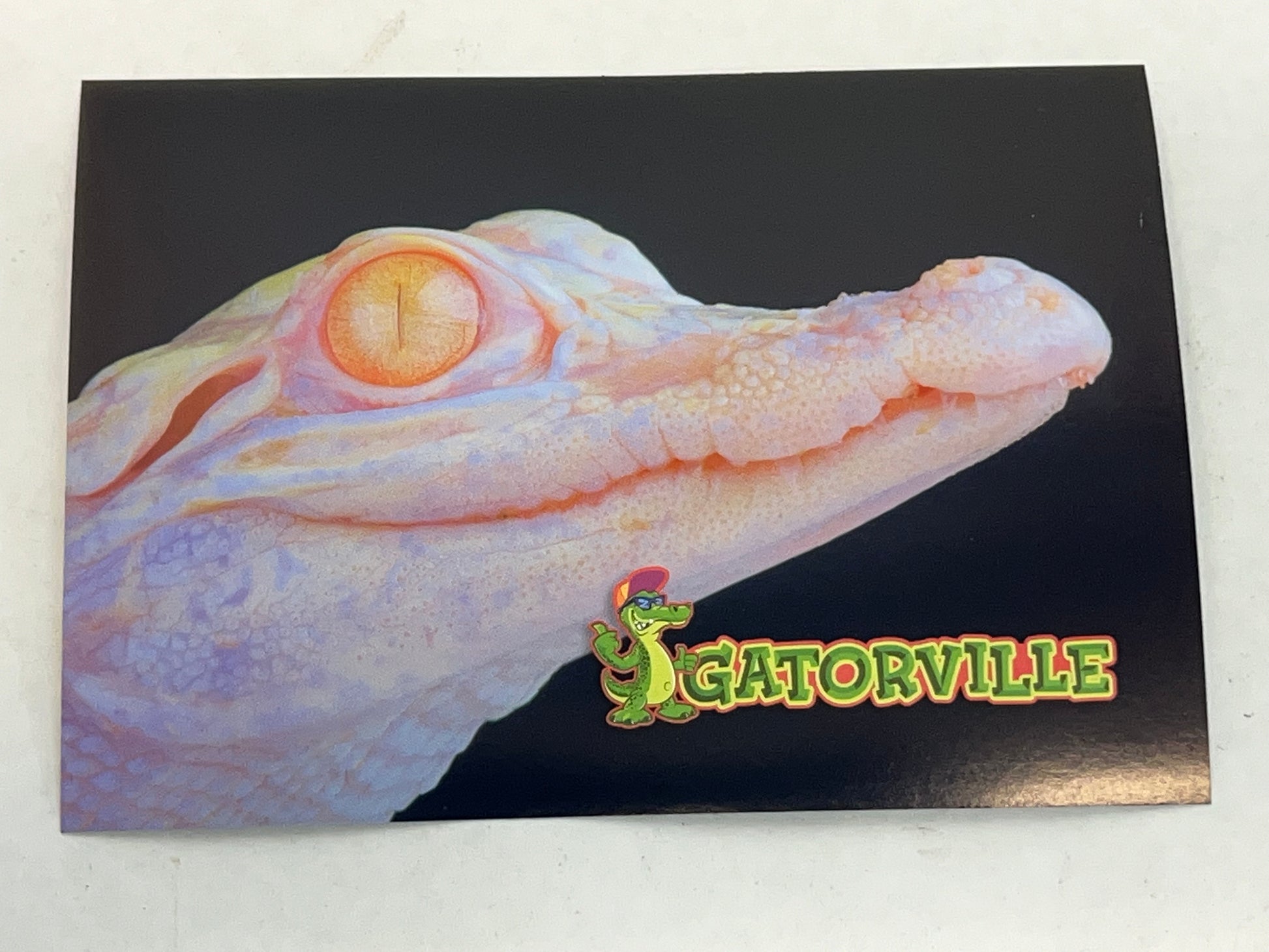 Gatorville Postcards Bad Boys 4 Ride or Die Movie Prop Y'allywood Props Young White Gator  