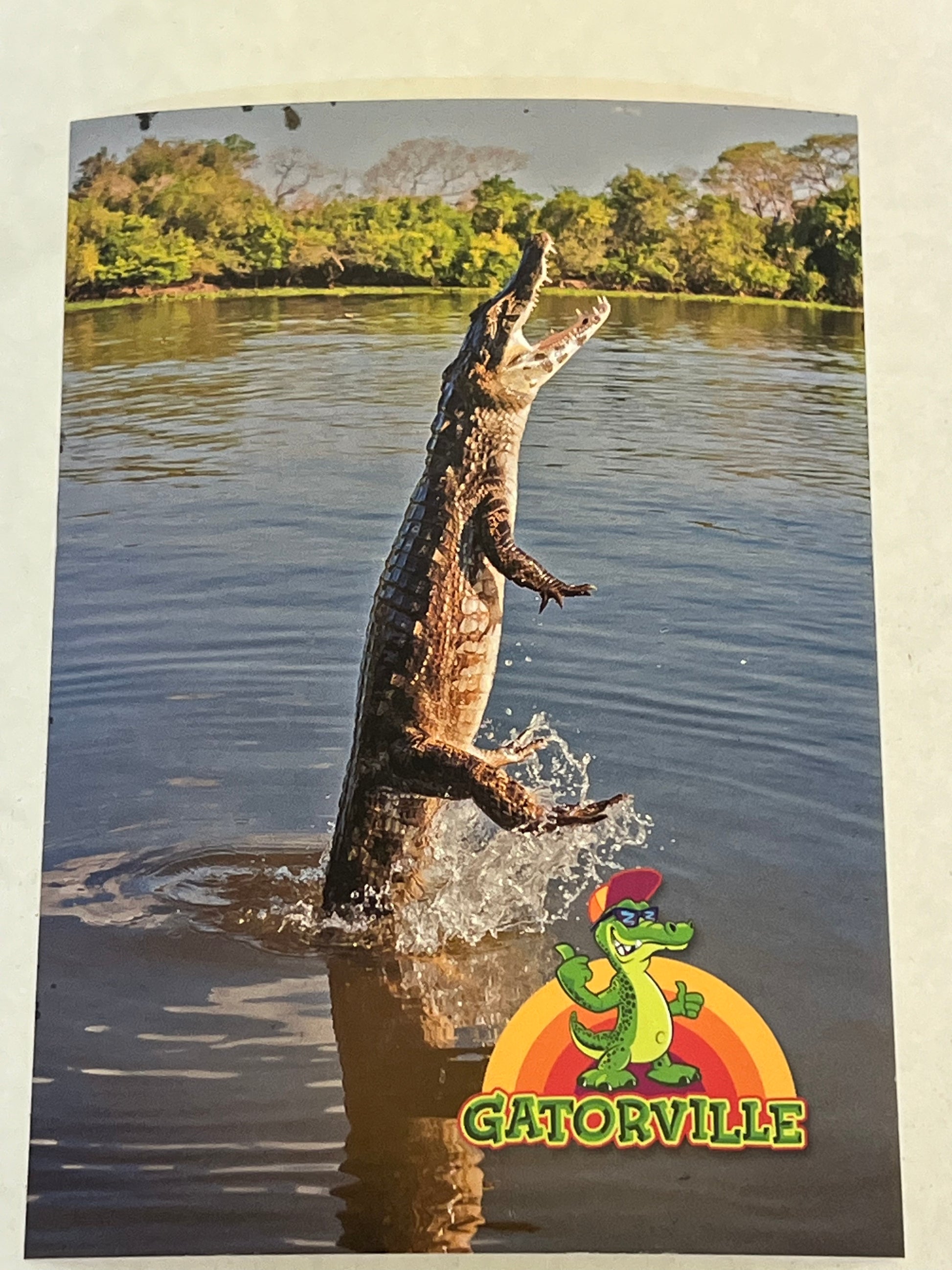 Gatorville Postcards Bad Boys 4 Ride or Die Movie Prop Y'allywood Props Jumping Out of Water  