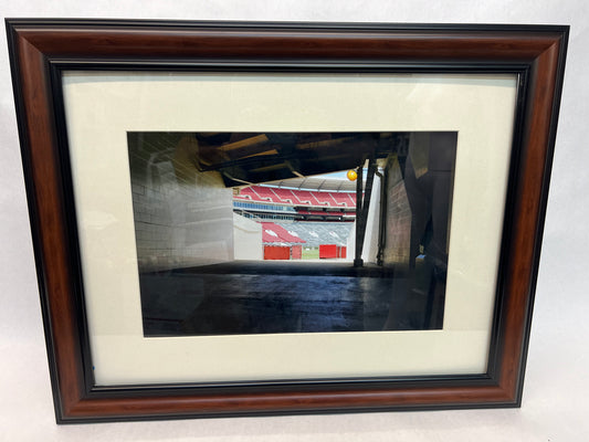 Tommy Chapman's Alabama Stadium Picture Just Mercy (2019) Movie Prop Y'allywood Props   