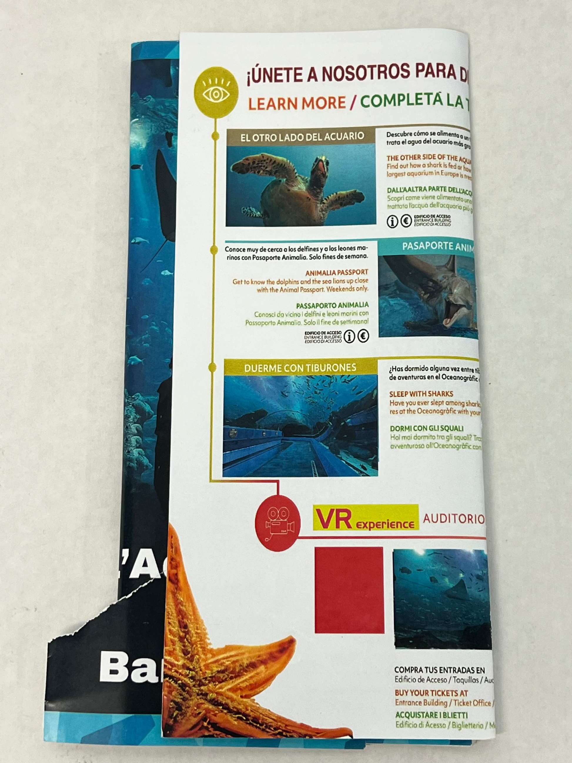 Demetri's Aquarium Brochure S6E6 Cobra Kai Movie Prop Y'allywood Props Hero Version