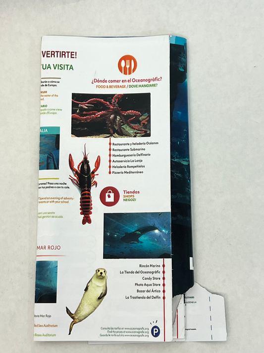 Demetri's Aquarium Brochure S6E6 Cobra Kai Movie Prop Y'allywood Props