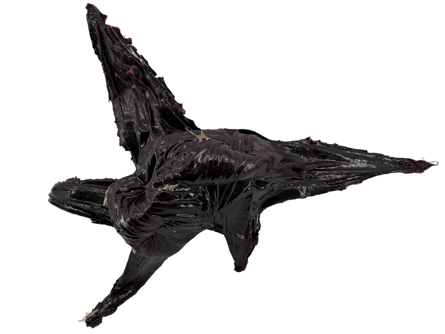 Squid Vine from The Upside Down Stranger Things (2016-2025) Movie Prop Y'allywood Props