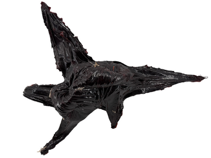 Squid Vine from The Upside Down Stranger Things (2016-2025) Movie Prop Y'allywood Props