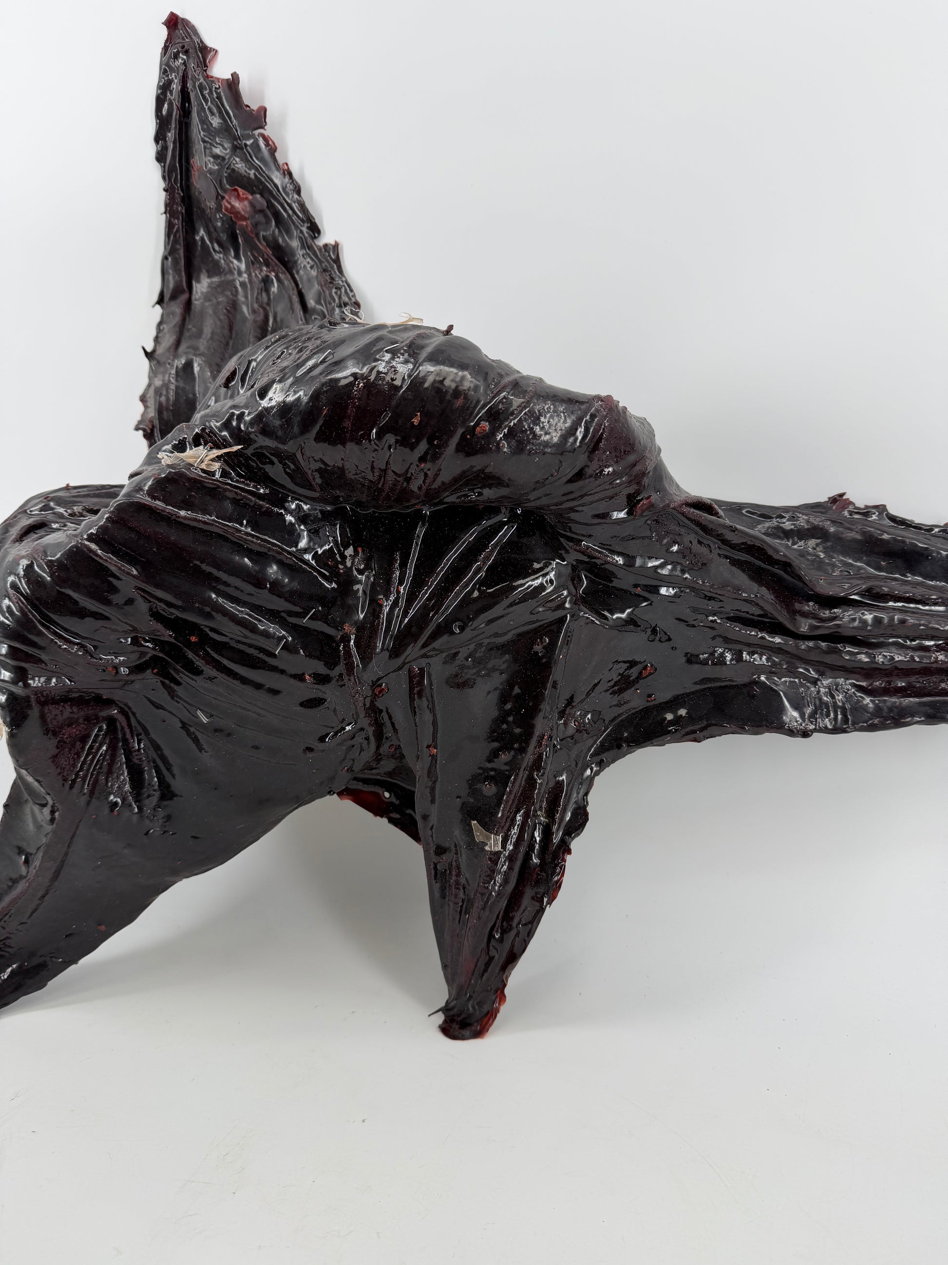 Squid Vine from The Upside Down Stranger Things (2016-2025) Movie Prop Y'allywood Props