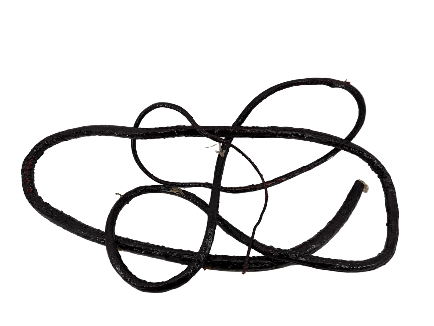 Whip Vine from The Upside Down Stranger Things (2016-2025) Movie Prop Y'allywood Props