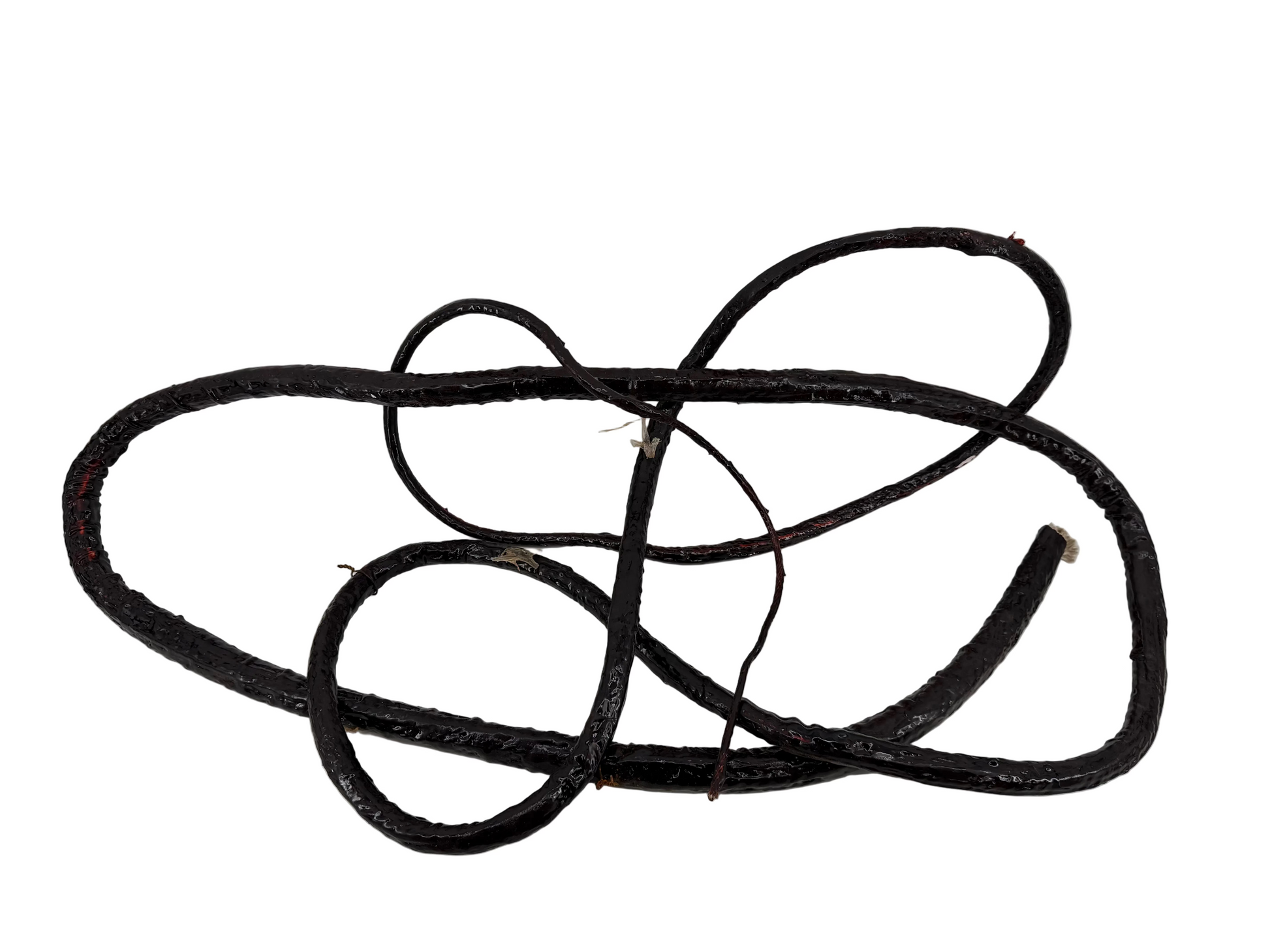 Whip Vine from The Upside Down Stranger Things (2016-2025) Movie Prop Y'allywood Props