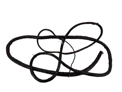 Whip Vine from The Upside Down Stranger Things (2016-2025) Movie Prop Y'allywood Props
