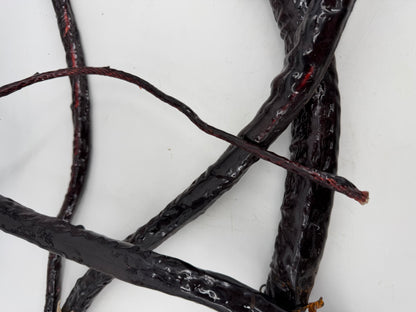 Whip Vine from The Upside Down Stranger Things (2016-2025) Movie Prop Y'allywood Props