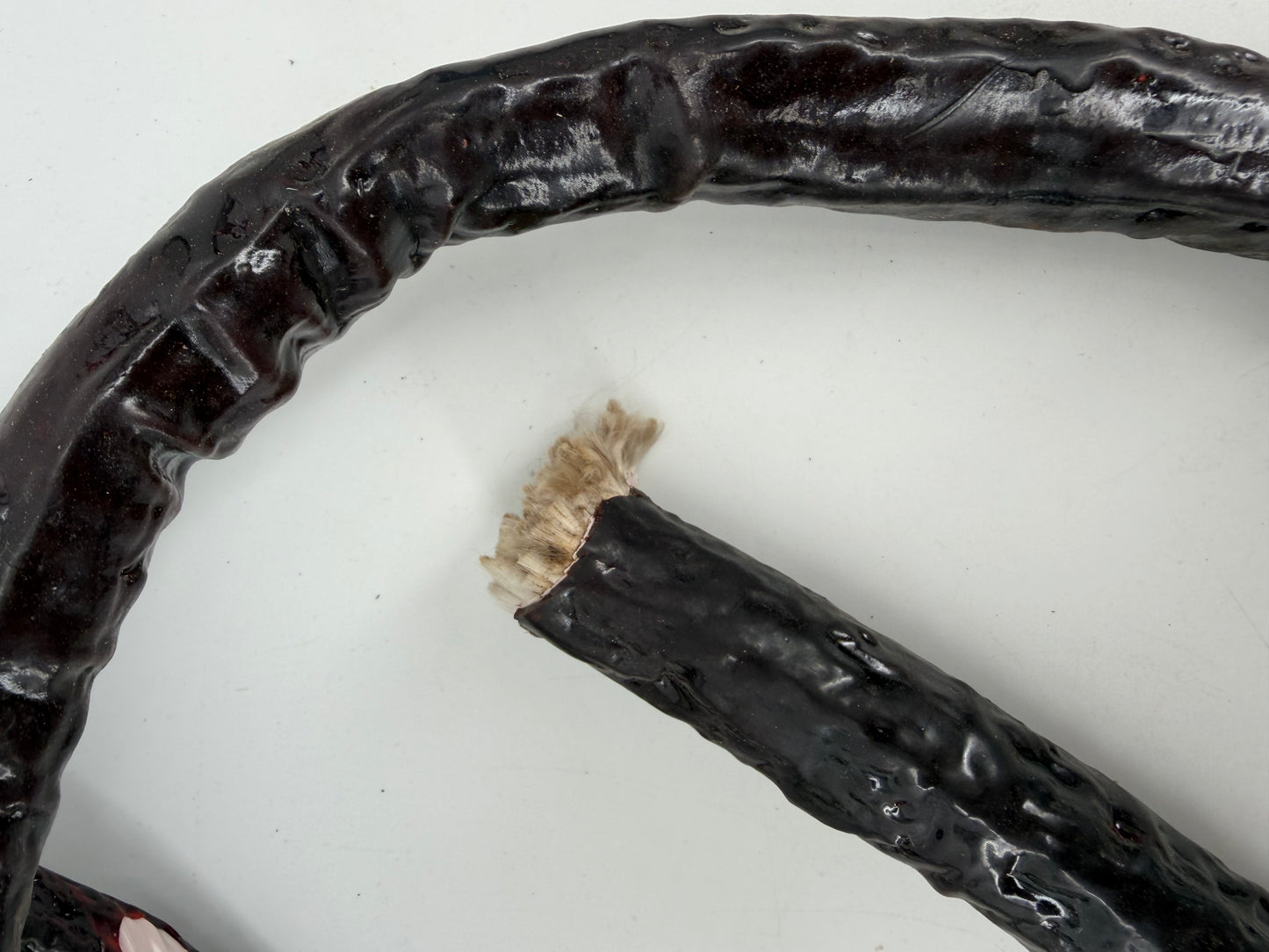 Whip Vine from The Upside Down Stranger Things (2016-2025) Movie Prop Y'allywood Props