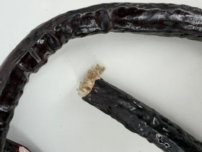 Whip Vine from The Upside Down Stranger Things (2016-2025) Movie Prop Y'allywood Props