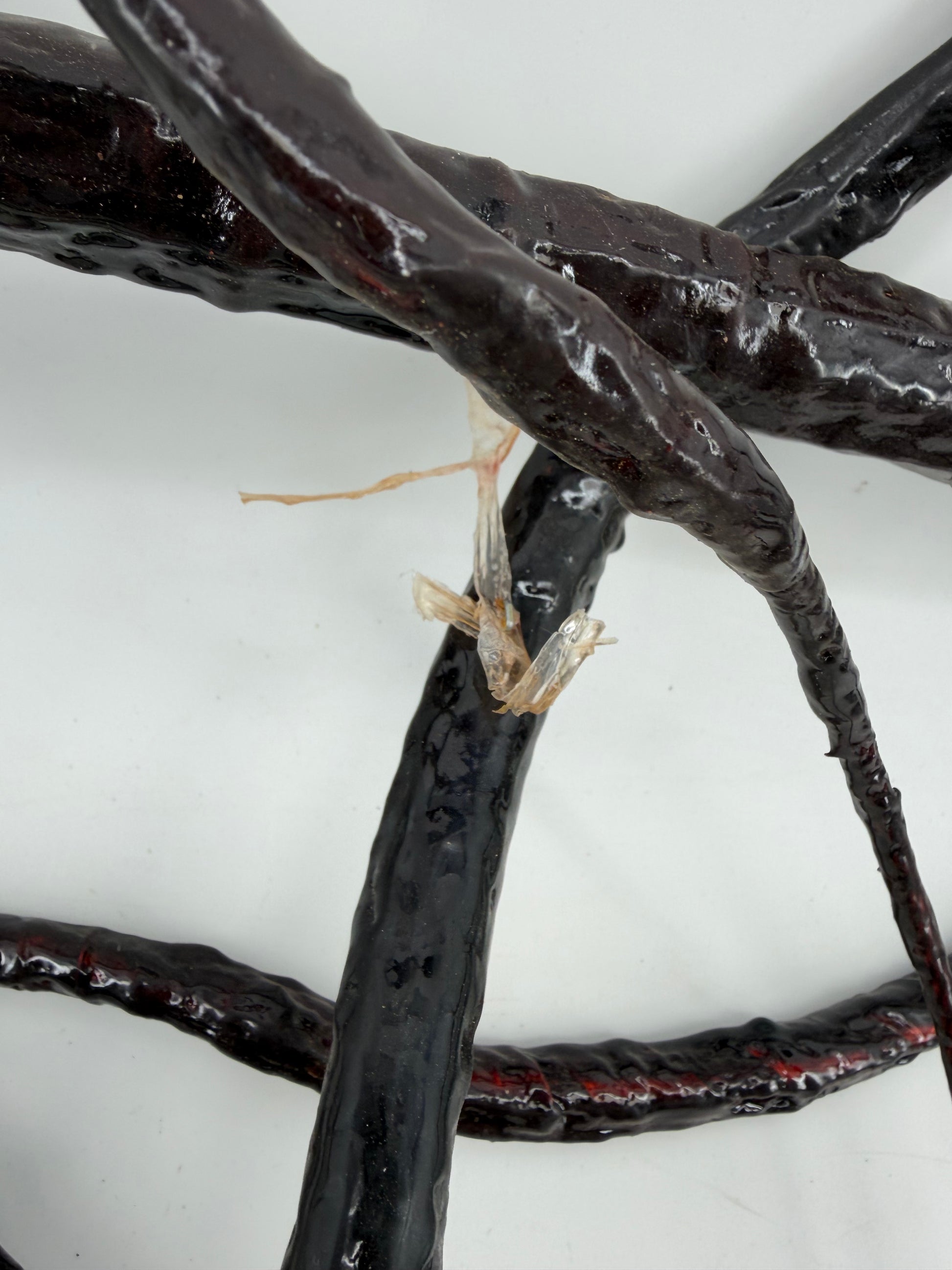 Whip Vine from The Upside Down Stranger Things (2016-2025) Movie Prop Y'allywood Props