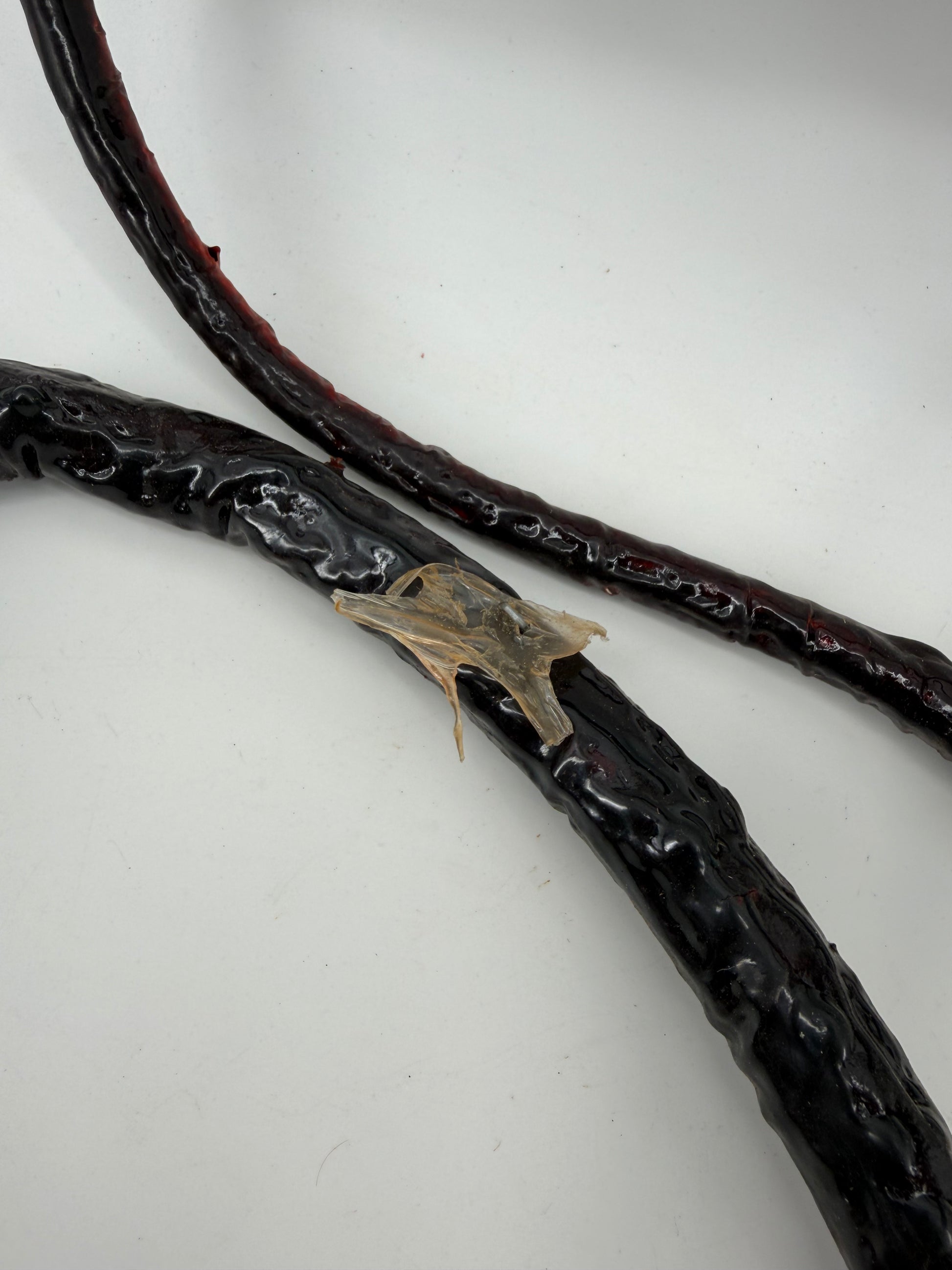 Whip Vine from The Upside Down Stranger Things (2016-2025) Movie Prop Y'allywood Props
