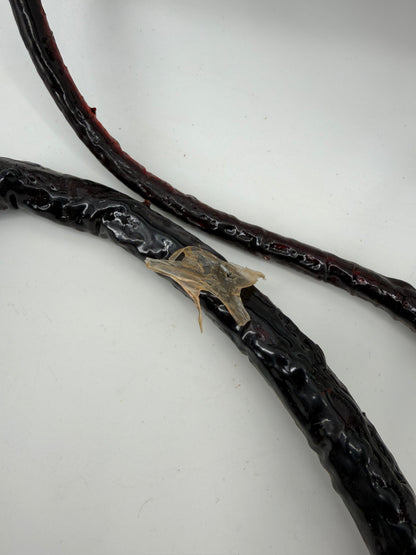 Whip Vine from The Upside Down Stranger Things (2016-2025) Movie Prop Y'allywood Props